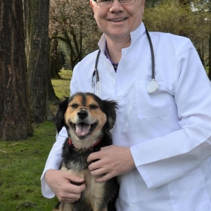 Photo of The Investment Doctor