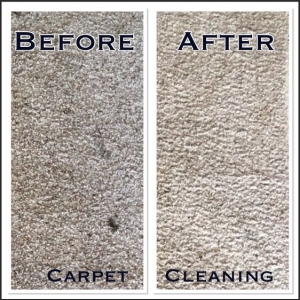 Photo of J D Hill Carpet Cleaning