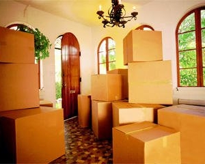 Photo of Adams Moving Services