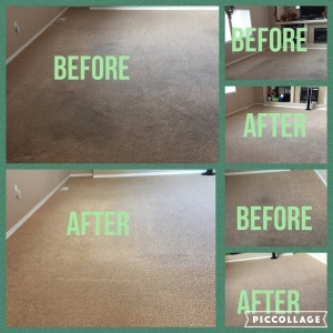 Photo of Green Plus Carpet Cleaning