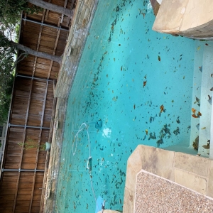Plano Champion Pool Service