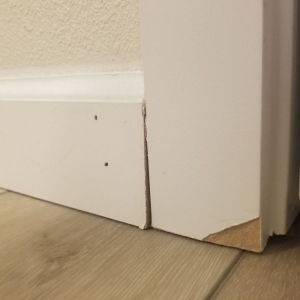 Photo of The Floor Trader of Tacoma