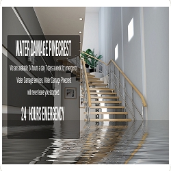 Pinecrest TCWRC Water Damage Pinecrest