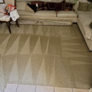 Photo of The Carpet Cleaner