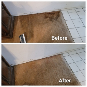 Photo of The Carpet Cleaner
