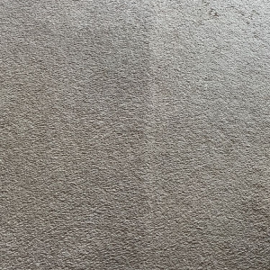 Photo of Eco Green Carpet Cleaning