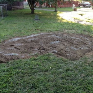 Photo of Stumps-B-Gone