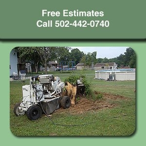 Photo of Stumps-B-Gone