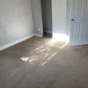 Photo of The Mean Green Carpet Clean