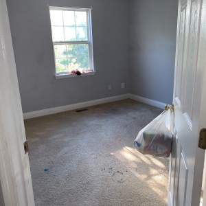 Photo of The Mean Green Carpet Clean