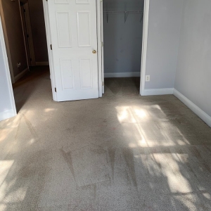 Photo of The Mean Green Carpet Clean