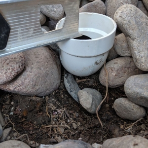 La Mesa Cal South Premier Landscaping