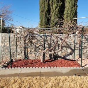 Photo of J B Lawn Care