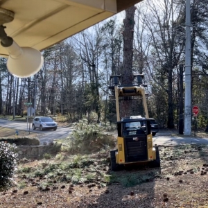 Photo of Jon's Tree Service