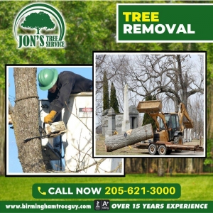 Photo of Jon's Tree Service
