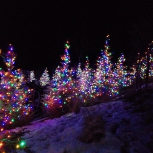 Photo of Christmas Lighters