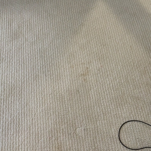 Photo of Austin Steam It