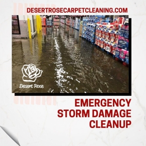 Photo of Desert Rose Carpet Cleaning