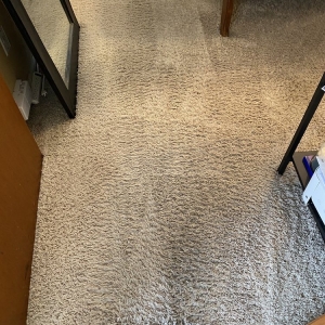Photo of Pacific 1 Flooring Care and Installation