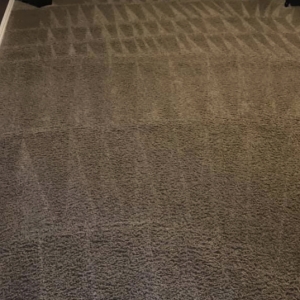 Photo of Penn Way Carpet Cleaning