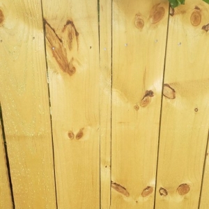Photo of Bibb's Fencing