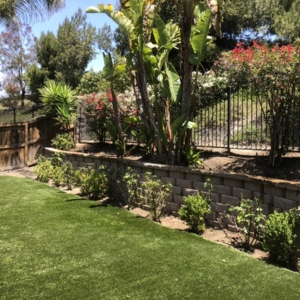 Photo of Martin's Lawn Care