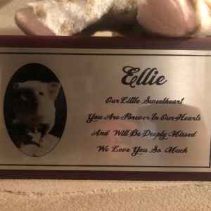 Photo of C & M Trophy