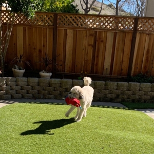 Photo of Artificial Grass Pros