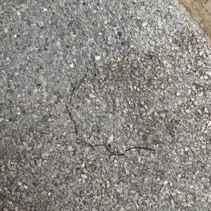 Photo of Epoxy Transformations