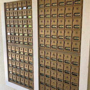 Photo of Chalk Mail