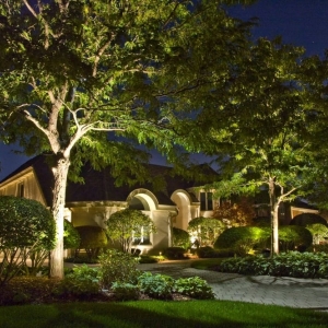 Photo of Accents Lighting