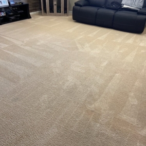Photo of I Care Carpet Care