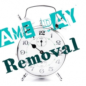 Davie United Junk Removal