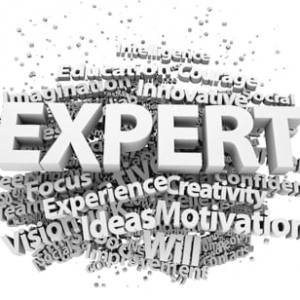Photo of Charlotte Online Marketing and SEO