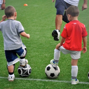 Photo of NoMow Turf