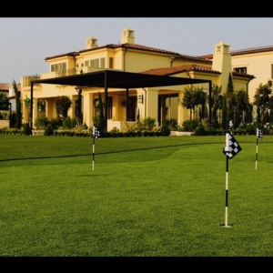 Lake Forest NoMow Turf