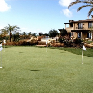 Photo of NoMow Turf