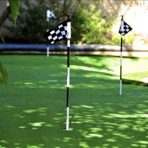 Photo of NoMow Turf