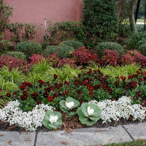 Photo of The Landscape Express