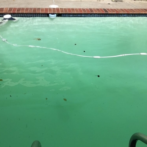 Photo of Contra Costa Pool Service