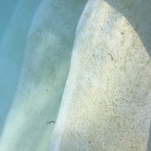 Photo of Contra Costa Pool Service