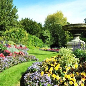 Photo of Allscape Landscape