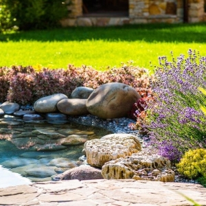 Photo of Allscape Landscape