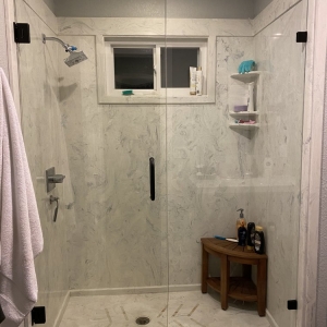 Plano Plano Shower Door