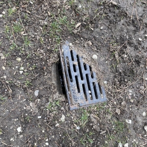 Photo of Park 205