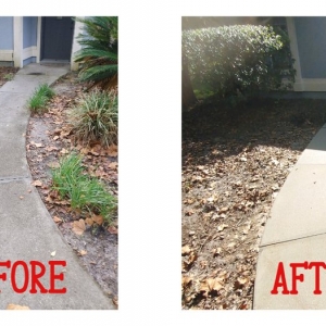 Photo of North Florida Exterior Services
