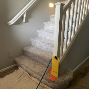 Photo of Arizona Pro Steemers Carpet & Upholstery Care