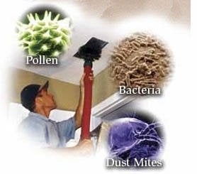 Photo of Steamer's Carpet Care