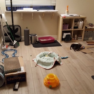 Photo of Budget Flooring