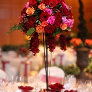 Photo of Bella Signature Design